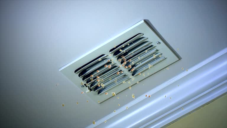 Best Best Air Duct Cleaning Company  in Franklin Park, FL