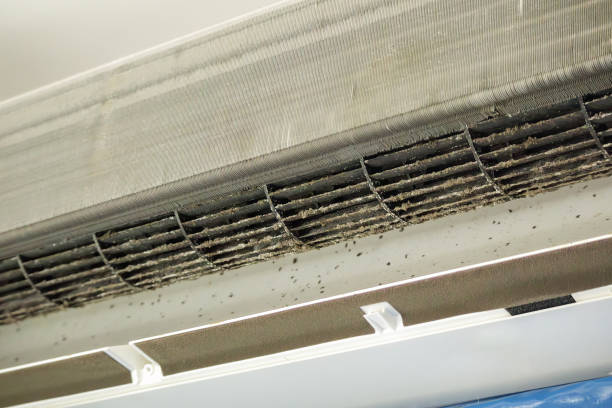 Best HVAC System Cleaning  in Franklin Park, FL